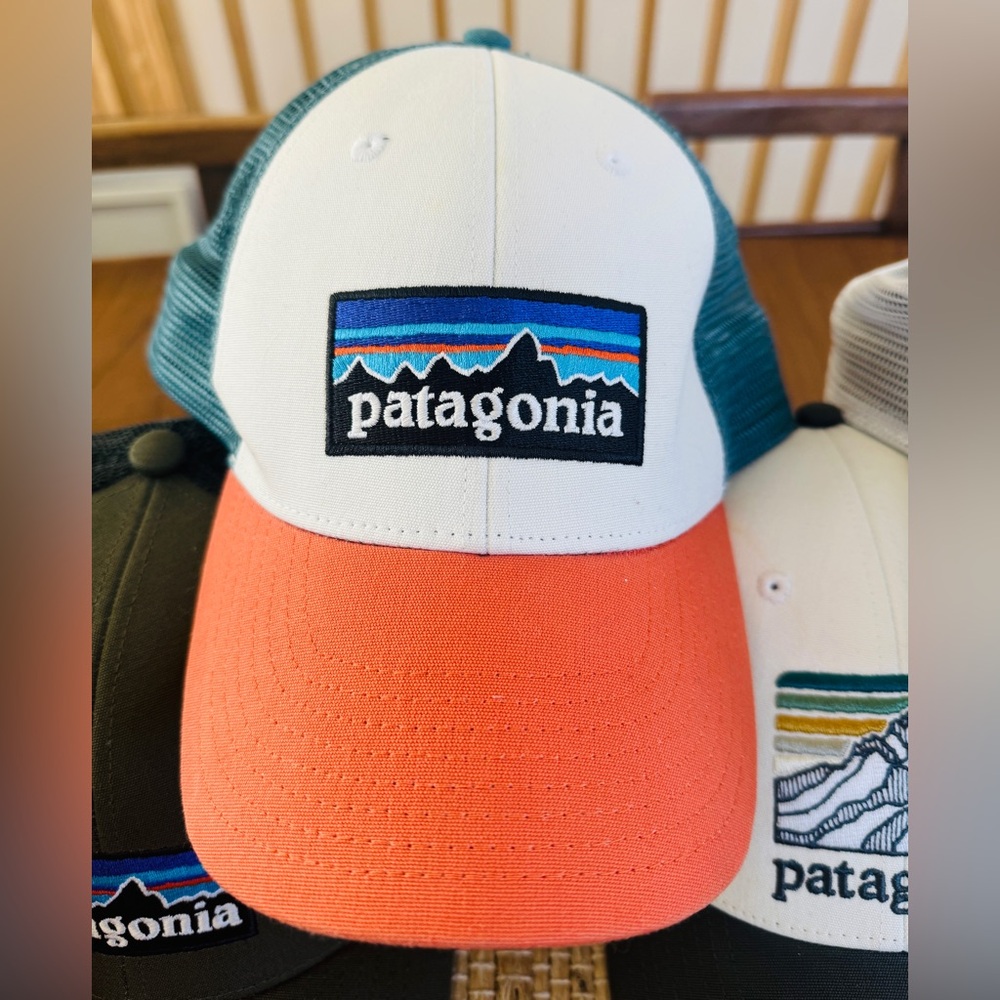 Patagonia | Logo Embroidered Trucker Hat